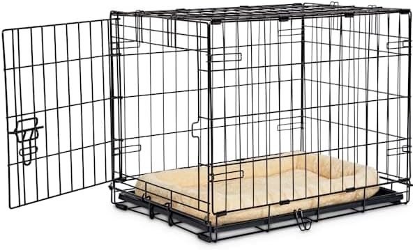 EveryYay Essentials 1-Door Folding Dog Crate, 24.5" L X 17.5" W X 19.5" H