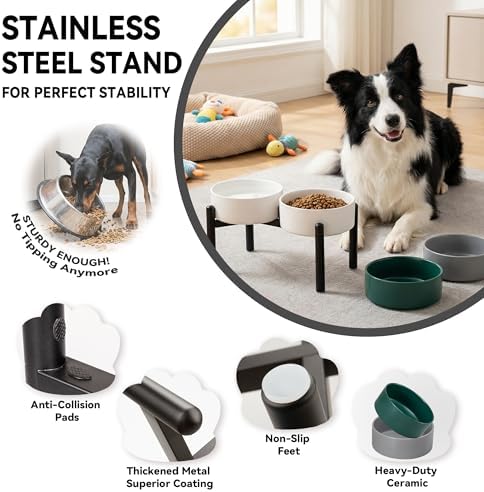 Raised Ceramic Dog Bowl Set with Stand, 7.5 Cups Elevated Dog Food Stand | 8.4'' Double Dog Food and Water Bowl Set, Non-Slip Dog Feeding Dishes for Small Breeds and Cats, 59.2 OZ, White