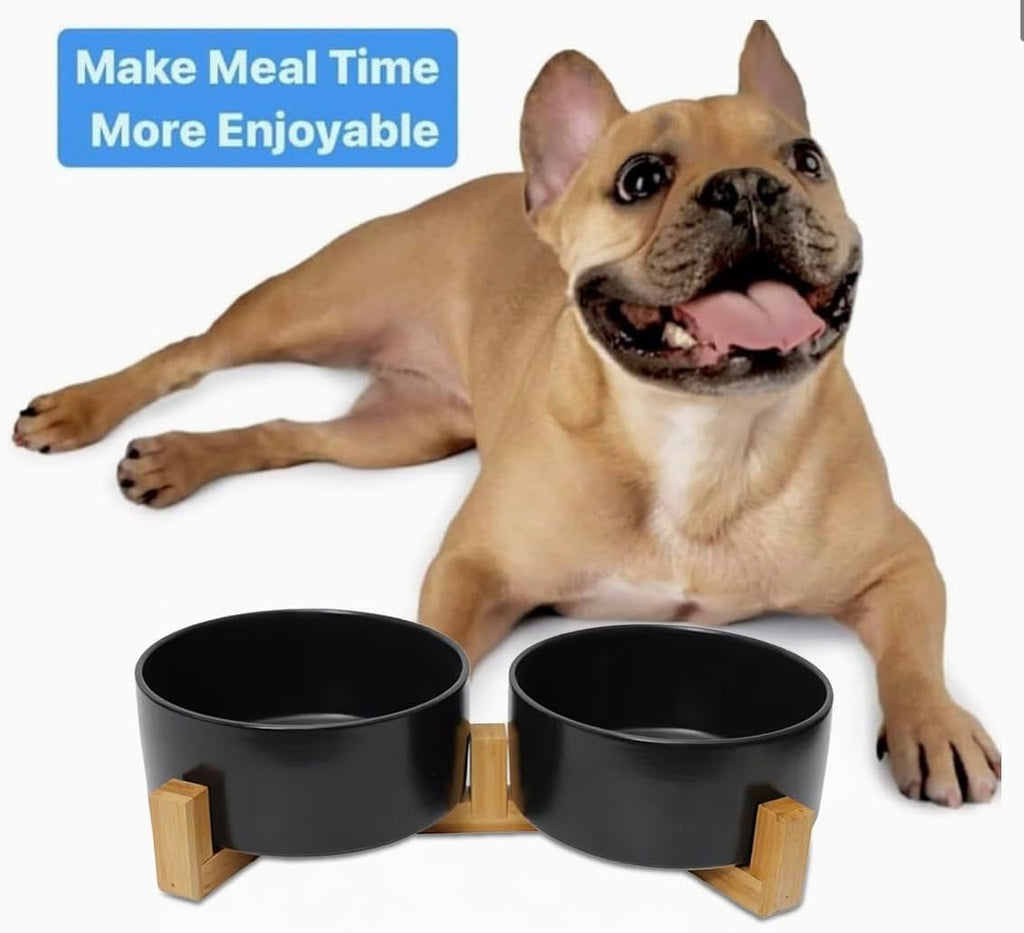 Ceramic Cat and Small Dog Bowl Set – Modern Indoor Small Size Pet Food and Water Bowls with Wood Stand – Non Slip Puppy Sized Feeding Station with Double Dishes (Black)