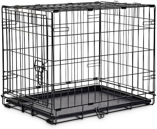 EveryYay Essentials 1-Door Folding Dog Crate, 24.5" L X 17.5" W X 19.5" H