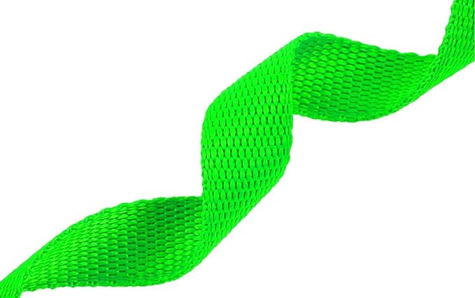 AMAGOOD Dog/Puppy Obedience Recall Training Agility Lead-15 ft 20 ft 30 ft 50 ft Long Leash-for Dog Training,Tie Out,Play,Safety,Camping (20Feet x 1Inch, Green)