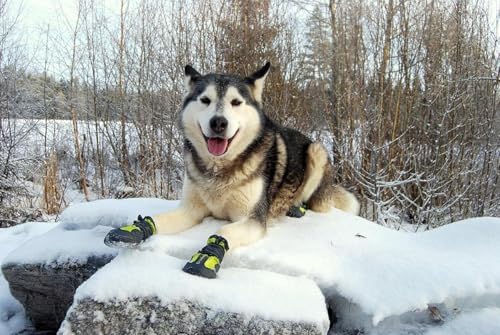 TRUE LOVE Non-Slip Reflective Dog Boots Paw Protect Shoes, Black, 6# | TPR Grooved Sole, Dual Hook&Loop Straps, Reflective Strip, Water Resistant, Breathable Soft Upper, Indoor & Outdoor, TLS3961