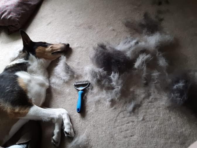 Pet Grooming Brush & Nail Clippers Trimmers - Double Sided Shedding and Dematting Undercoat Rake Comb for Dogs and Cats - Safe Dematting Comb for Easy Mats & Tangles Removing (Blue), Large