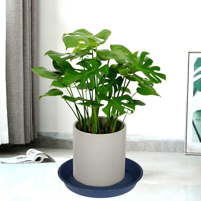 6 Pack Plant Saucer Drainage Tray, Plastic Plant Water Tray, 6 inch Flower Saucers for Indoors, Plant Dishes for Pots Base (6 inch, Blue)