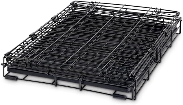 EveryYay Essentials 1-Door Folding Dog Crate, 24.5" L X 17.5" W X 19.5" H