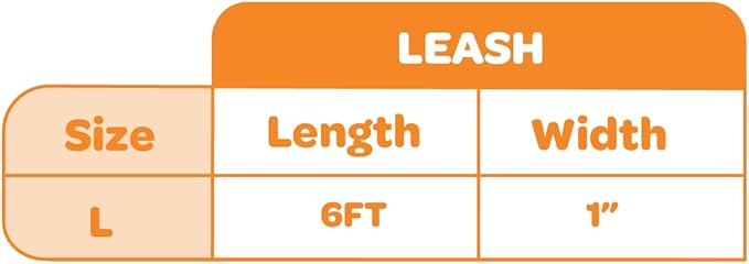 Best Pet Supplies Voyager Reflective Dog Leash or Collar with Neoprene Handle, for Small, Medium, and Large Breed Puppies, Cute and Heavy Duty for Walking, Running and Training - Turquoise Leash, L
