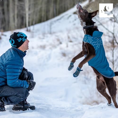 RC Pets Cascade Coat | Waterproof & Insulated Dog Jacket | Adjustable, Reflective & Lightweight for All-Weather Comfort | Size 12, Caramel