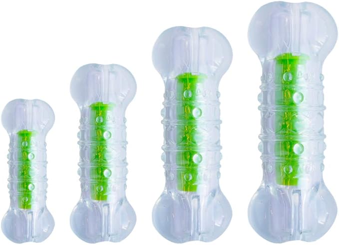 Petstages Crunchcore Bone Water Bottle Alternative Dog Chew Toy, Medium