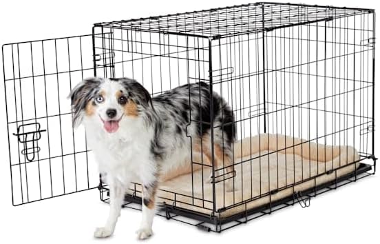 EveryYay Essentials 1-Door Folding Dog Crate, 30.5" L X 19.2" W X 21.5" H