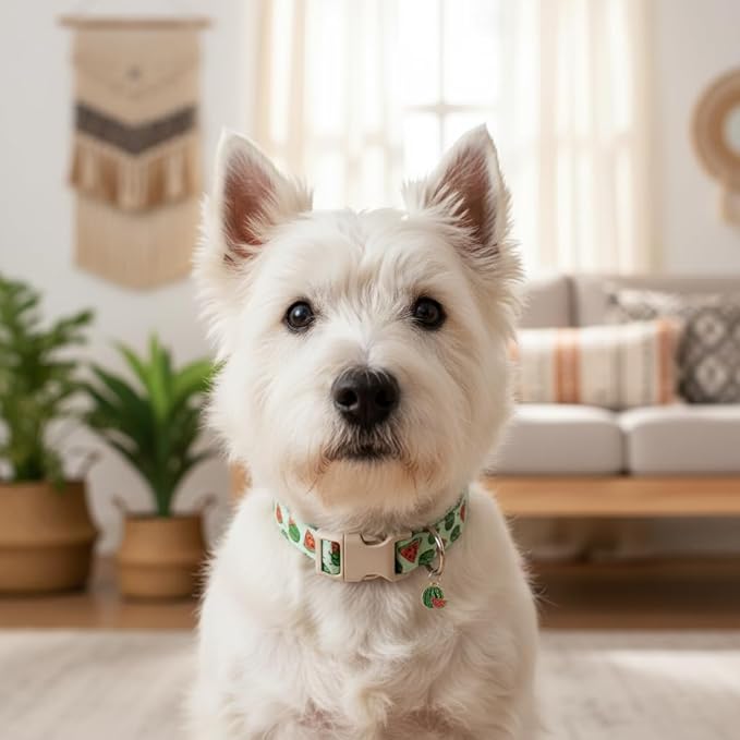Summer Dog Collar for Medium Dogs, Cute Dog Collar with Watermelon Pattern and Pendant, Green Pet Collar with Soft Cotton Fabric and Robust Buckle