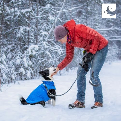 RC Pets Cascade Coat | Waterproof & Insulated Dog Jacket | Adjustable, Reflective & Lightweight for All-Weather Comfort | Size 12, Caramel