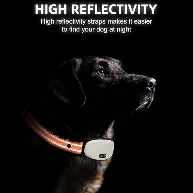 Collar Replacement Strap, Reflective Replacement Nylon Collar Strap Dog GPS Training Bark Receiver Collars, Durable Adjustable E Collar Straps for Small Medium Large Dogs, Orange