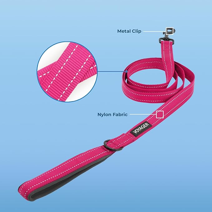 Best Pet Supplies Voyager Reflective Dog Leash or Collar with Neoprene Handle, for Small, Medium, and Large Breed Puppies, Cute and Heavy Duty for Walking, Running and Training - Fuchsia Leash, L