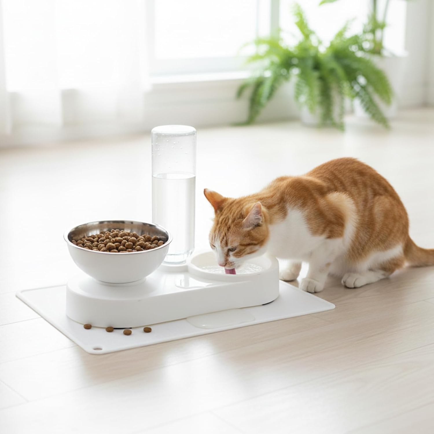 2 in 1 Elevated Dog Cat Bowls, 15°Tilted Pets Water and Food Bowl Set, Pet Feeding Bowls with Automatic Water Bottle and Feeding Mat for Kittens and Small Dogs, White