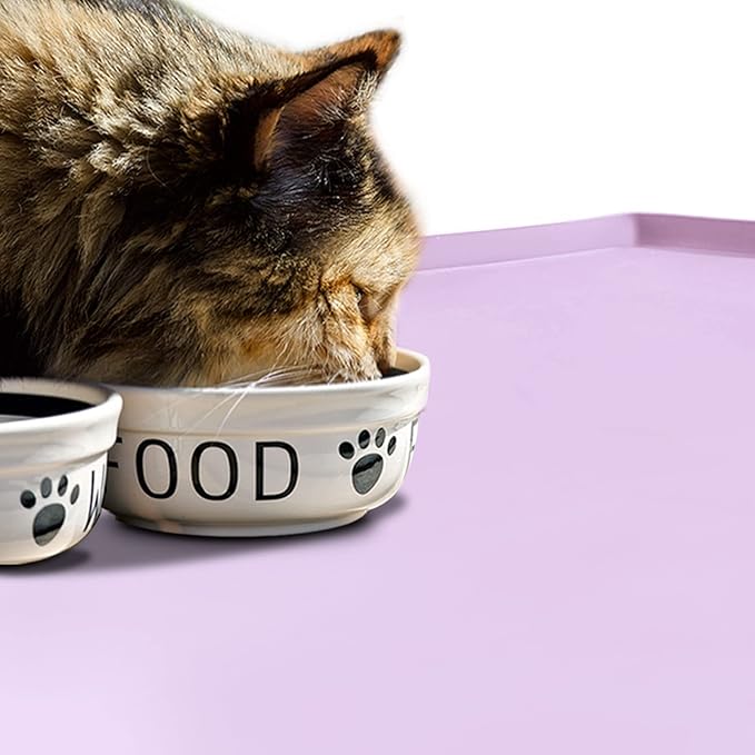 Dog Food Mat,Silicone Waterproof Food Tray,Non Slip Pet Bowl Mats Placemat,1" Raised Edge,Suitable for Most Small and Medium Sized Pets,32" x 24"