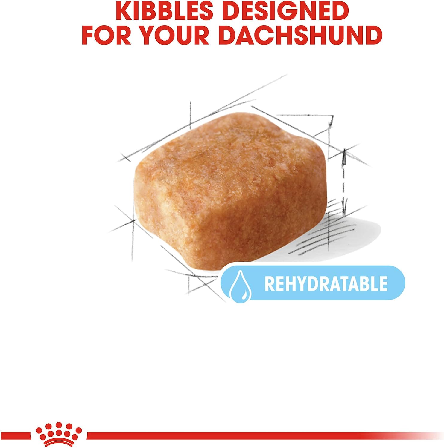 ROYAL CANIN Dachshund 8+ Adult Dry Dog Food, 3 lb Bag | Healthy Aging Support, Bone & Joint Support, For Dachshunds 8+ Years, Weight Control, Rehydratable Kibble