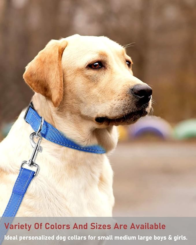 Reflective Dog Collar with Buckle Adjustable Safety Nylon Collars for Small Medium Large Dogs, Navy Blue XXS