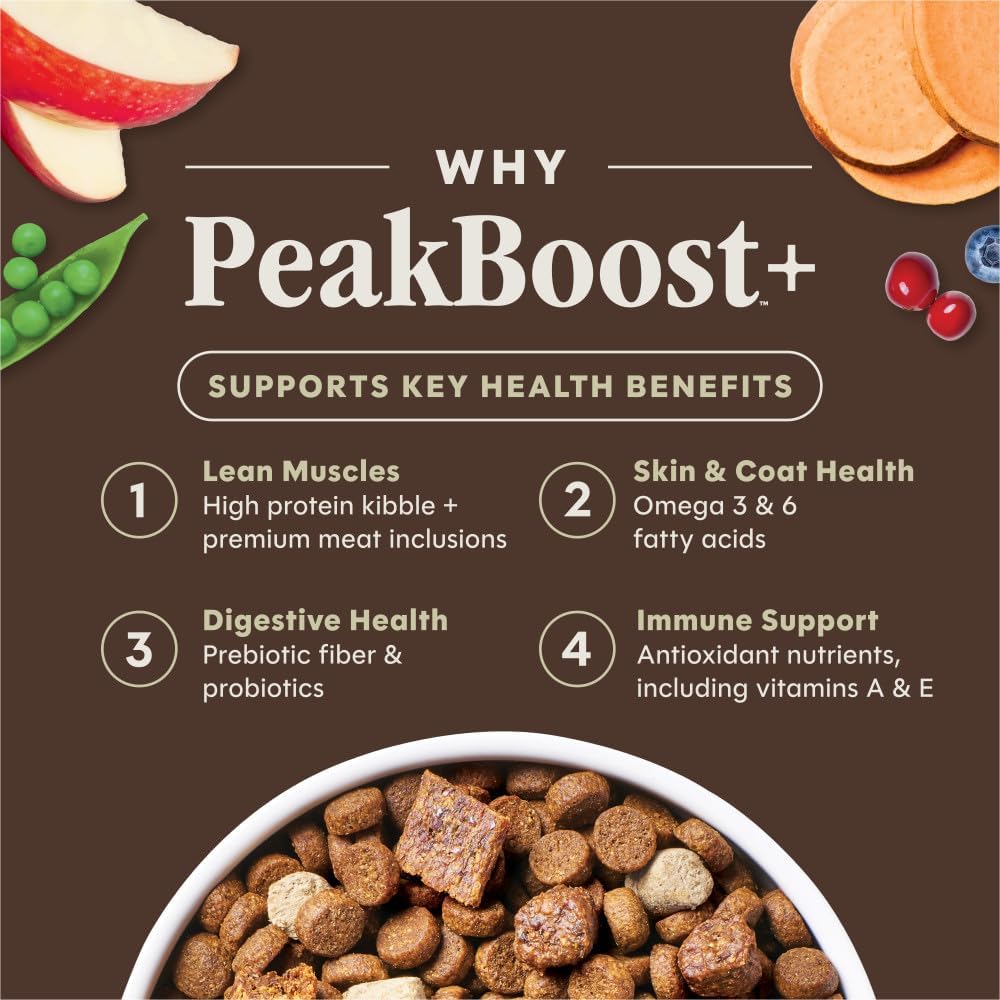 Instinct PeakBoost Dry Dog Food, 5 Protein-Powered Pieces, Chicken, 3.5 lb. | 5 unique pieces: kibble, FreshDried Raw, jerky strips, chewy morsels & air-dried bites for boosted nutrition & flavor