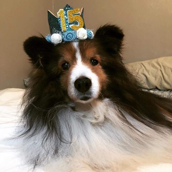 PET SHOW Blue Crown Dog Birthday Hat for Boys Male Pets Cat Headband With Figures 0-9 Charms and Glue Party Accessories Pack of 1