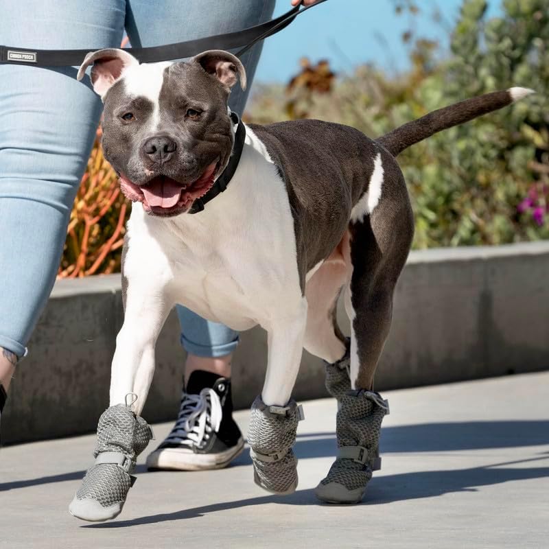 Canada Pooch Dog Boots for Hot Pavement - Paw Protector for Hot Days Size 5 | Small, Medium, Large Size Booties, Anti Slip Rubber, Water Friendly, Breathable Mesh, Easy On Wide Opening, Reflective Strap