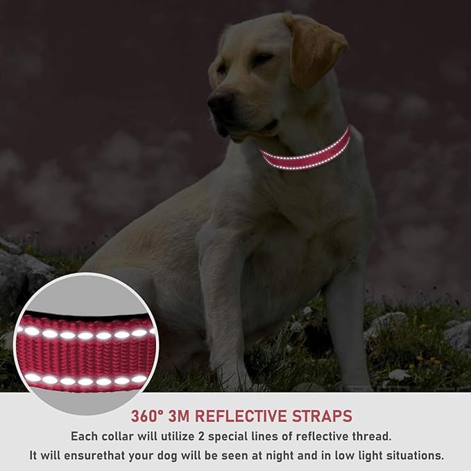 Reflective Dog Collar with Buckle Adjustable Safety Nylon Collars for Small Medium Large Dogs, Light Pink S