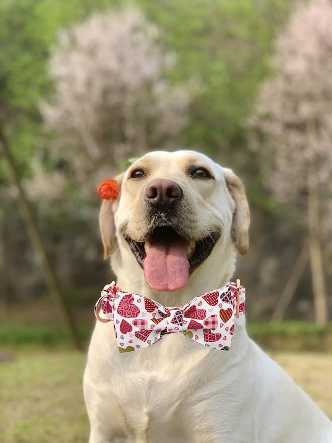 Lionheart glory Heart Dog Collar, Adjustable Dog Collar with Bowtie, Pet Gift Collar for Dog Soft Bowtie Dog Collars for X-Small Puppy