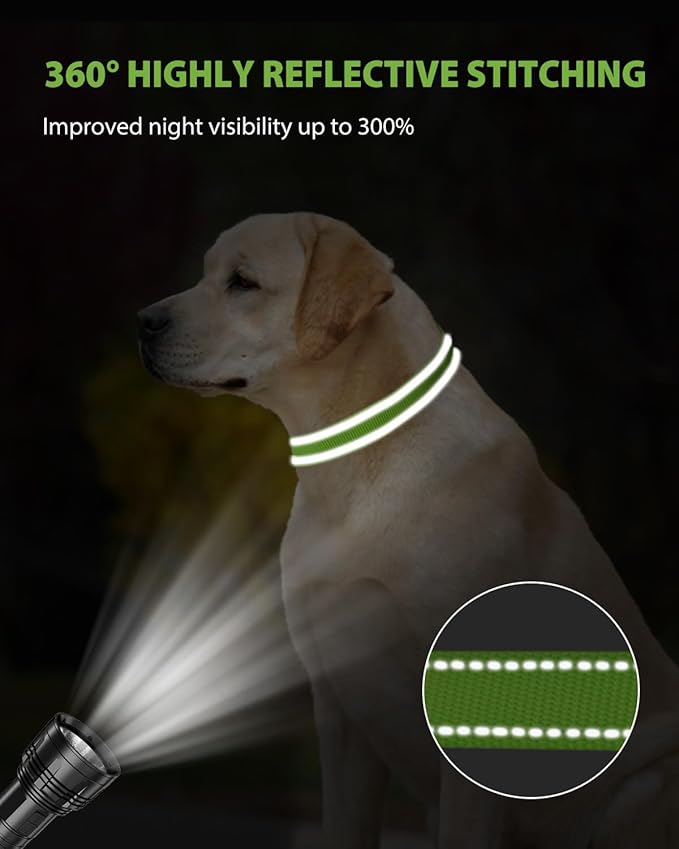 Joytale Large Dog Collar, Reflective and Adjustable Nylon Pet Collar with Quick-Release Buckle for Extra Large Dogs, Green, XL