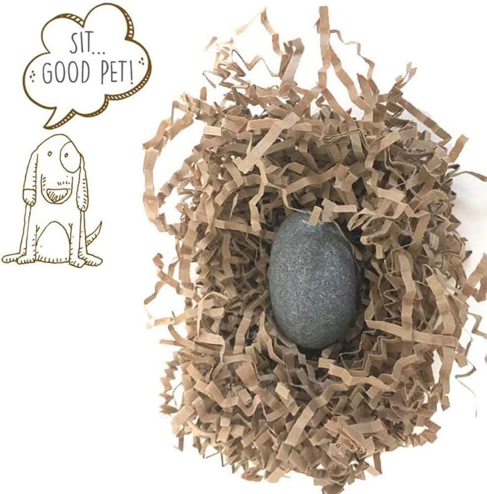Pet Rock - The Original by Gary Dahl