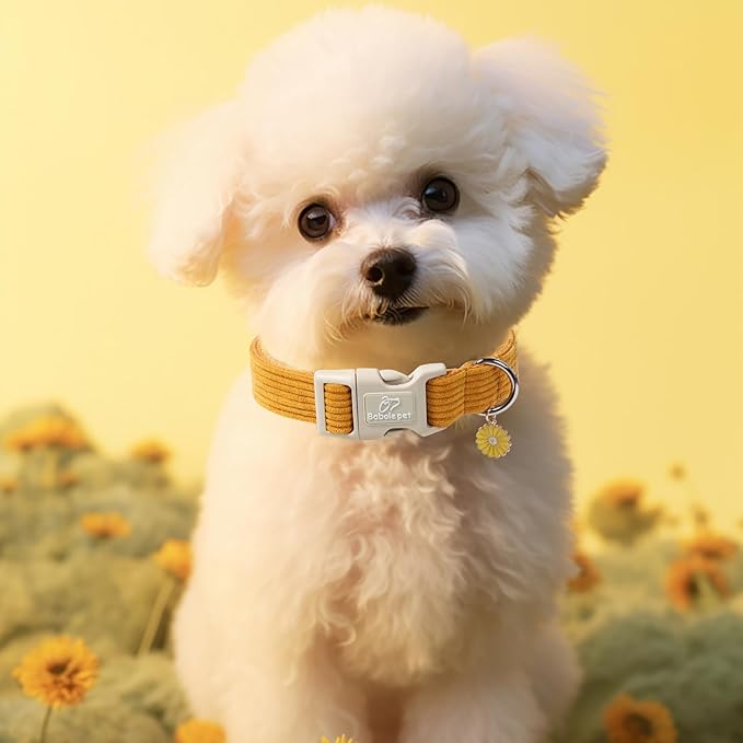 Cute Corduroy Dog Collar - Mustard Yellow Adjustable Dog Collars for Medium Dogs 25-50lbs, Fade-Proof with Secure Snap & Little Charm, Christmas Birthday Gift, M