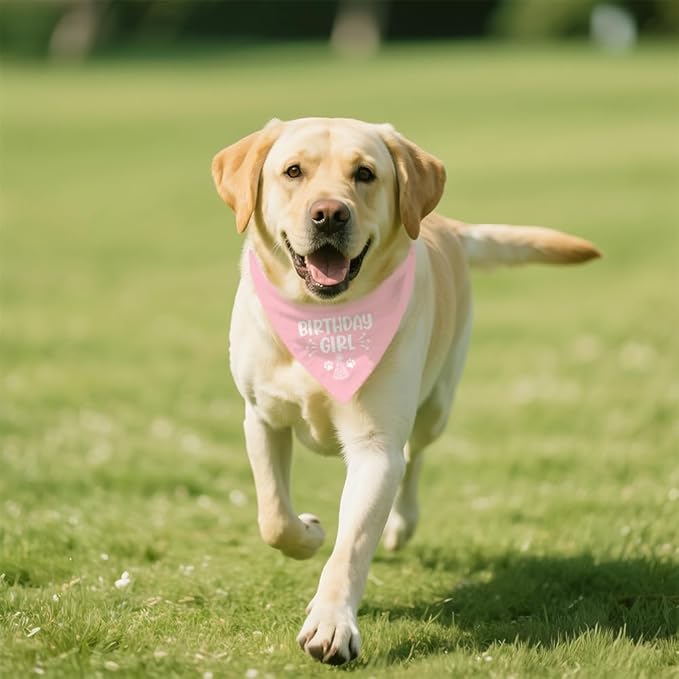 Birthday Girl Funny Dog Bandana, Happy Birthday Girl Dog Bandana, Pet Scarf Accessories for Dog's Party Dogs Lovers Gifts, Party Pet Photo Prop Accessories for Dogs Lovers