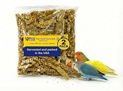 1lb Millet Tips & Tails for Birds - Parakeets, Cockatiels, Lovebirds, Finches, Budgies, Canaries, Cockatoos - Natural & Healthy Millet for Birds - Parakeet Food & Treats for All Parrots (2 Pack)