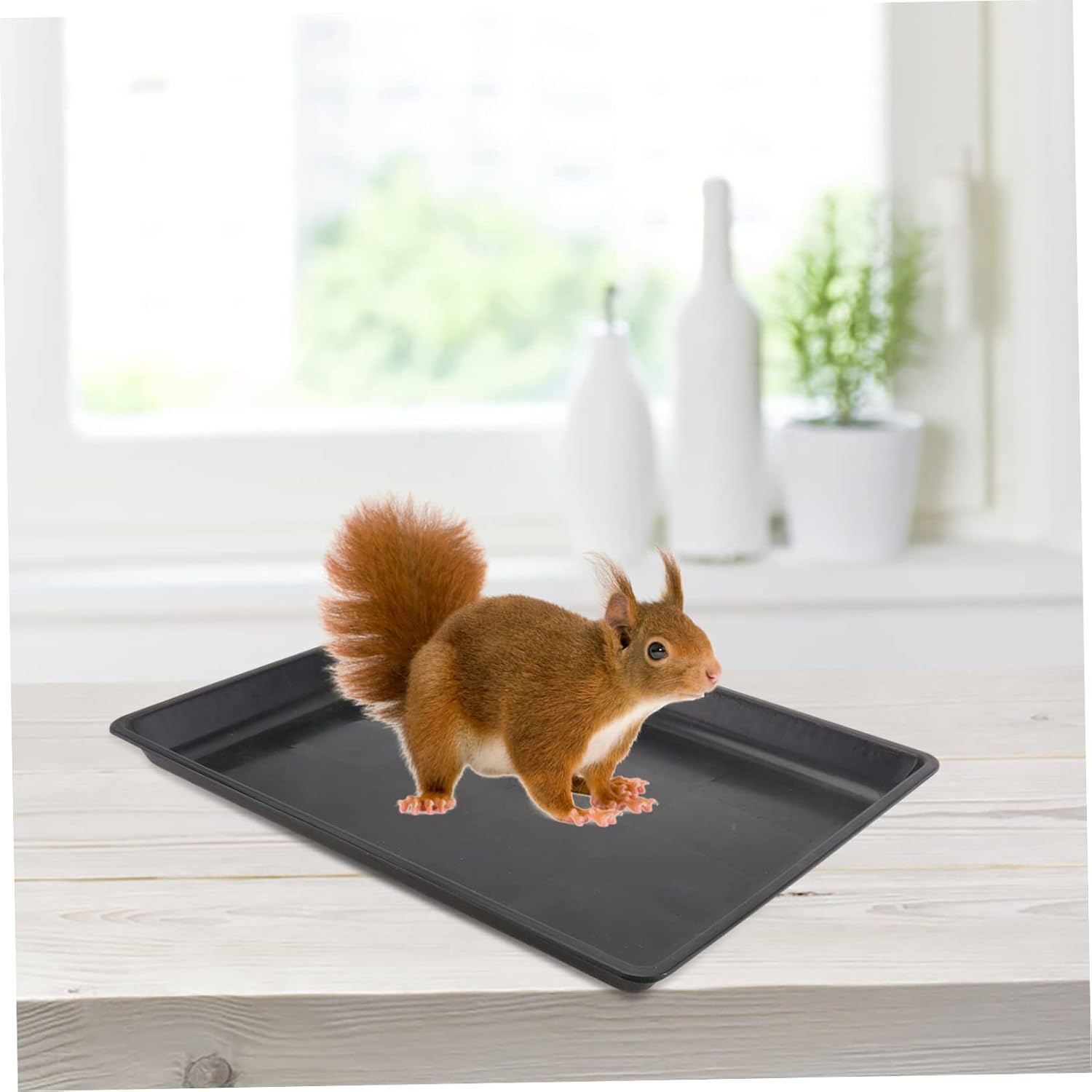 1pc Pet Cage Tray Plastic Pet Potty Tray for Cats Dogs and Replacement Base for Cages for Use Helps Develop Toilet Habits