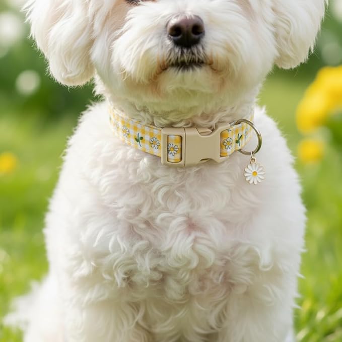 Cute Dog Collar, Yellow Plaid Dog Collar with White Floral Pattern, Spring Summer Design Floral Collar for Girls Boys Small Dogs