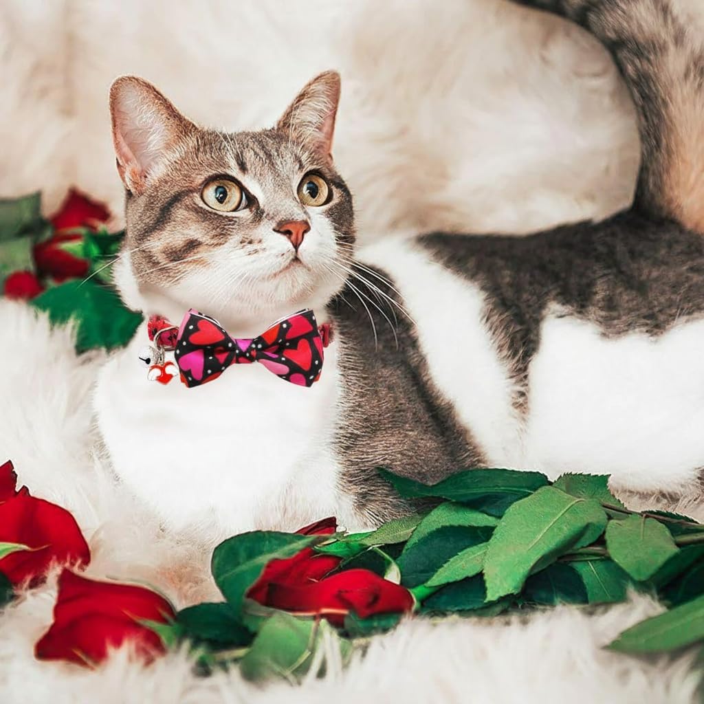 Valentine's Day Cat Collar with Bow Tie Bell & Charms BreakawayBack Heart and Pink Flowers for Male and Female Cats, Adjustable Holiday Kitten Collar for Boys & Girls