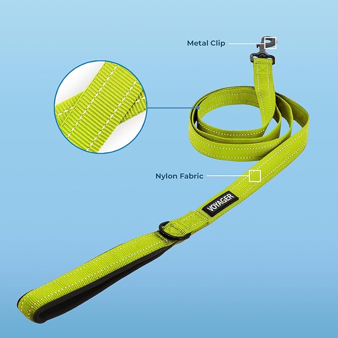 Best Pet Supplies Voyager Reflective Dog Leash or Collar with Neoprene Handle, for Small, Medium, and Large Breed Puppies, Cute and Heavy Duty for Walking, Running and Training - Lime, L
