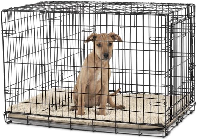 EveryYay by Petco 2-Door Dog Crate Large 36.8" L X 23.2" W X 24.9" H Black: No Handles