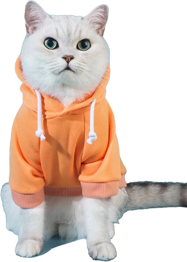 QWINEE Basic Dog Hoodie Sweatshirt Puppy Sweater Warm Cat Costumes Pet Clothes for Chihuahua Puppy Kitten Small Medium Dogs Orange XX-Small