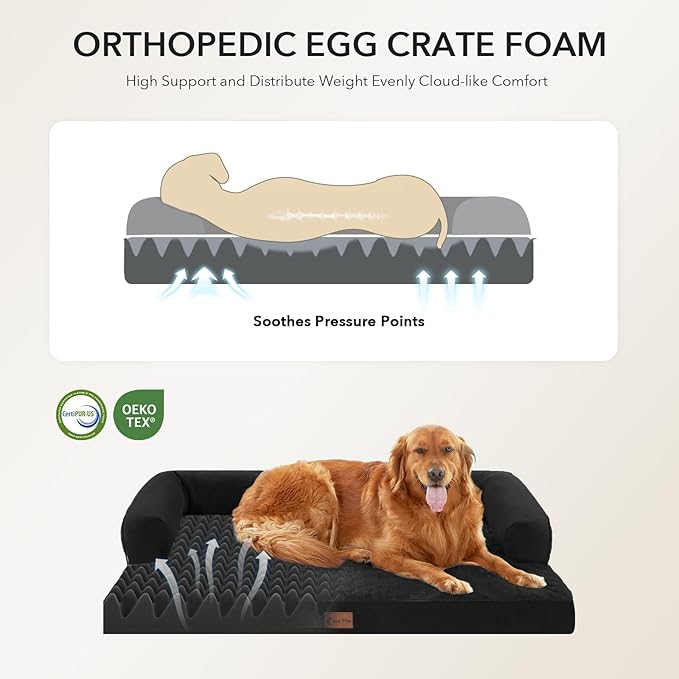 Orthopedic Dog Beds for Extra Large Dogs, Waterproof Egg Crate Foam XL Dog Bed with Sides 41x27Inch, Washable Big Dogs Couch Beds with Removable Cover and Nonskid Bottom, Black