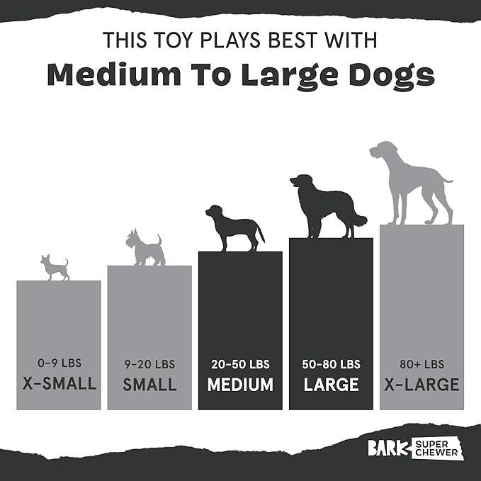 Barkbox Super Chewer Tough Dog Chew Toys for Aggressive Chewers, Dental Stimulating (PB Bone - Large)