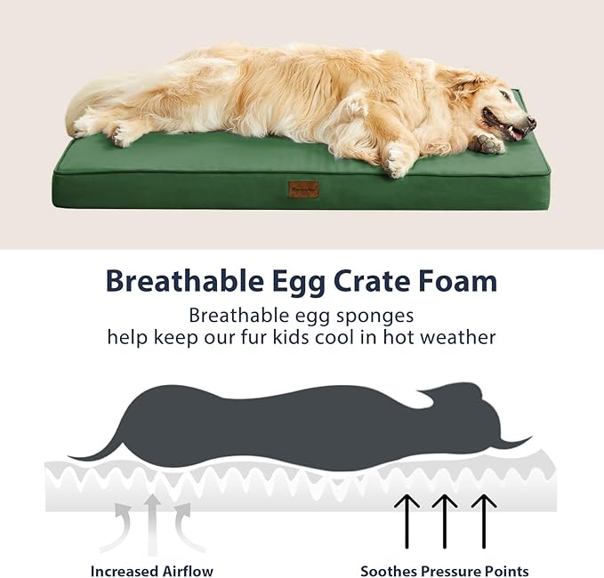 BFPETHOME Outdoor Dog Bed for Large Dogs, Waterproof, Orthopedic with Removable Washable Cover, Egg Crate Foam - 30 x 20in, Green