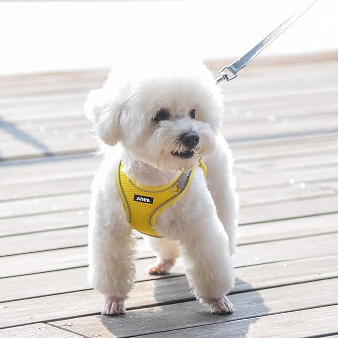 AIITLE Easy Walk Dog Harness and Leash Set - Pet Supply No Pull, Step in Adjustable Dog Harness with Padded Vest, Dog Harness No Choke Over, Easy to Put on Medium Dogs Yellow L