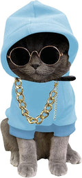 QWINEE 3Pcs Dog Hoodie Cat Apparel Dog Custume Set with Necklace and Sunglasses Pet Clothes for Puppy Small Medium Dogs Cats Light Blue Medium