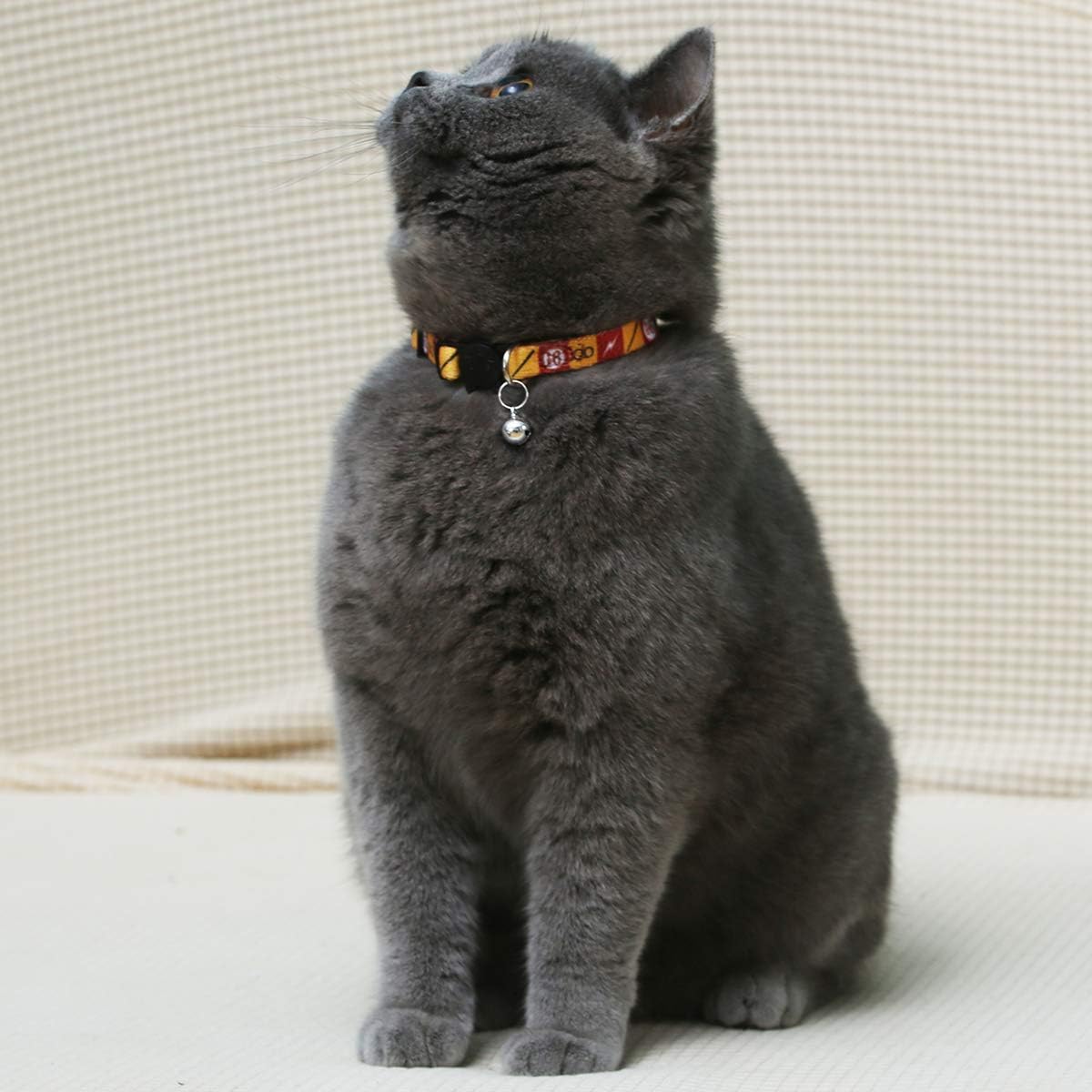 2PCS Breakaway Cat Collar with Cute Bell Adjustable Kitty Safety Collars Adjustable from 7-11 Inch (Red,Neck:7"-11")