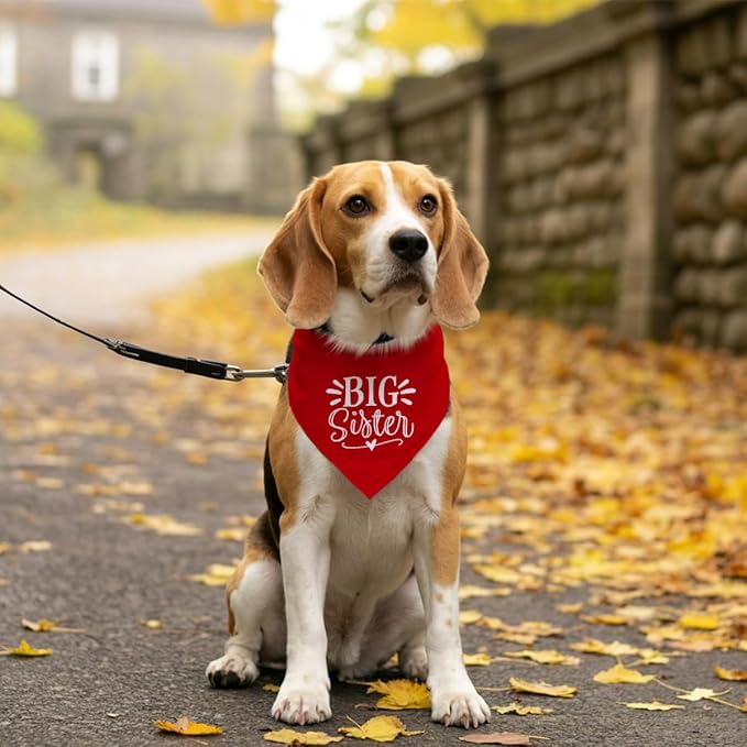 Big Sister Dog Bandana, Pet Dogs Pregnancy Announcement, Red Dog Bandana, Pet Bandanas for Small Medium Large Dogs (M)