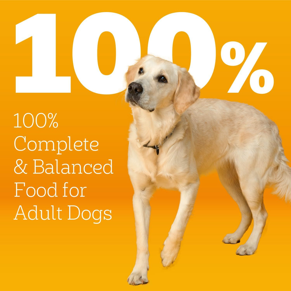 Pedigree Healthy Weight Adult Dry Dog Food, Chicken and Vegetable, 14 lb | Low-fat recipe, complete & balanced, 36 vitamins & minerals, protein for lean muscle support, prebiotic fiber for digestion