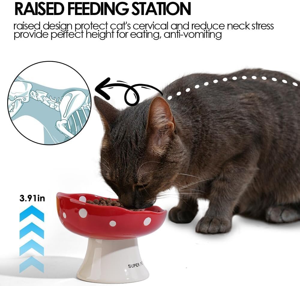 Pink and Blue Mushroom Cat Bowl Set,2PCS Elevated Ceramic Bowls for Cats | Cute Design, Elevated, Ceramic, Whisker Friendly, Dishwasher Safe