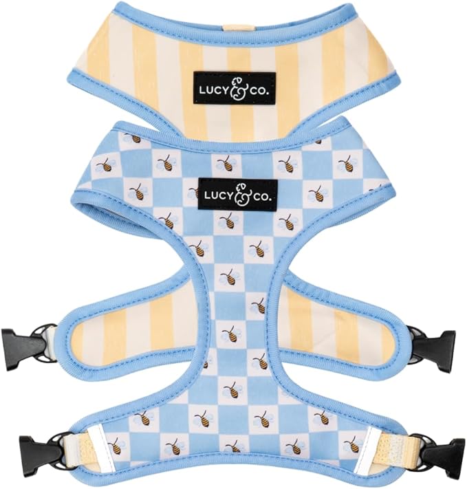 Lucy & Co. Bumbling Around Reversible Dog Harness, Adjustable Comfort Fit with Dual Leash Attachments, Large