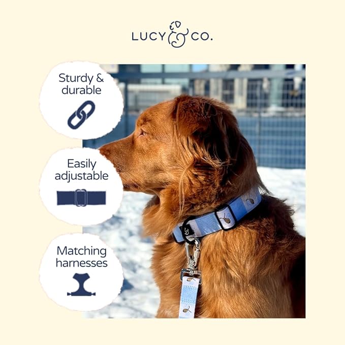 Lucy & Co. Bumbling Around Dog Collar, Adjustable Durable Dog Collar with Cute Print, Large