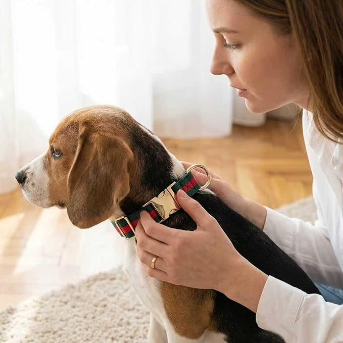 Premium Dog Collar, Cute Dog Collars Luxury Style, Durable Pet Collars with Metal Buckle Safety for Puppy Small Dogs