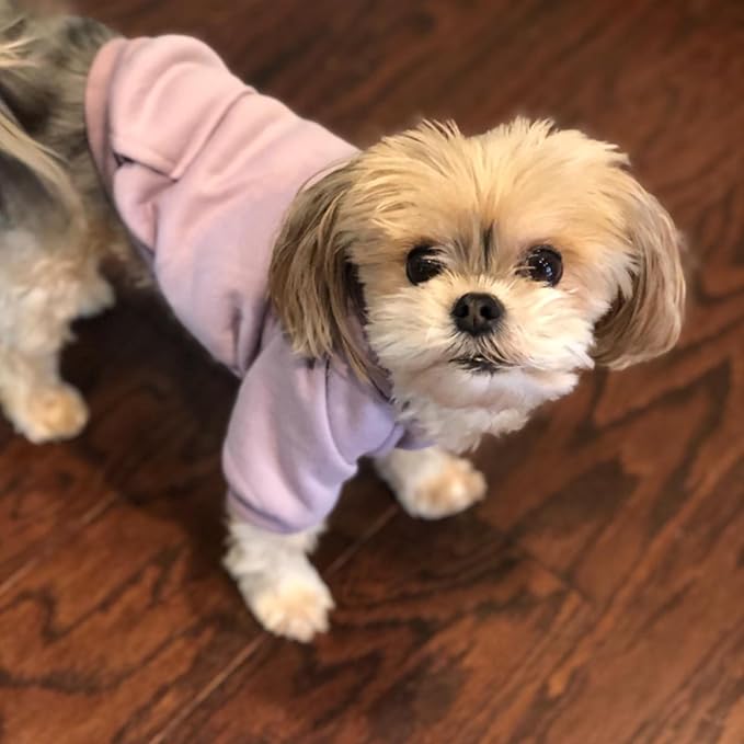 Jecikelon Winter Dog Hoodie Sweatshirts with Pockets Warm Dog Clothes for Small Dogs Chihuahua Coat Clothing Puppy Cat Custume (Purple, Large)